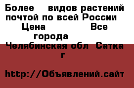 Более200 видов растений почтой по всей России › Цена ­ 100-500 - Все города  »    . Челябинская обл.,Сатка г.